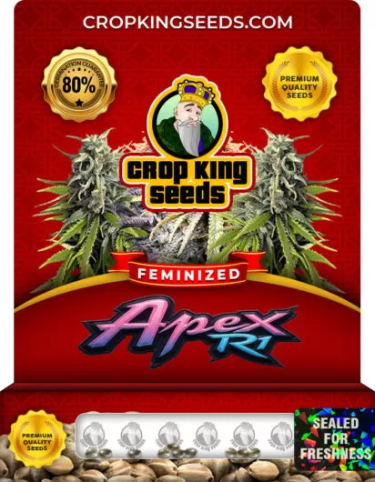 apex r1-image